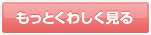 もっとくわしく見る